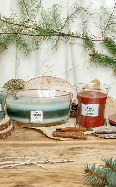 Woodwick Ellipse Trilogy Candle - Icy Woodland