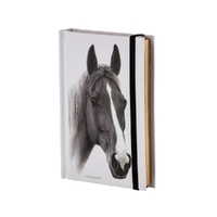 Ashdene Horse Trio - Chestnut Hardcover A6 Notebook
