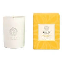 Tilley Rainbow Collection - Suede Tobacco & Amber Petite Soy Candle