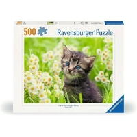 Ravensburger Puzzle 500pc - Kitten in the Meadow