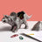 Royal Selangor Saurus - Triceratops Container