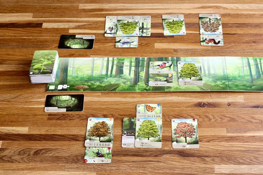 Forest Shuffle Game