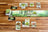 Forest Shuffle Game