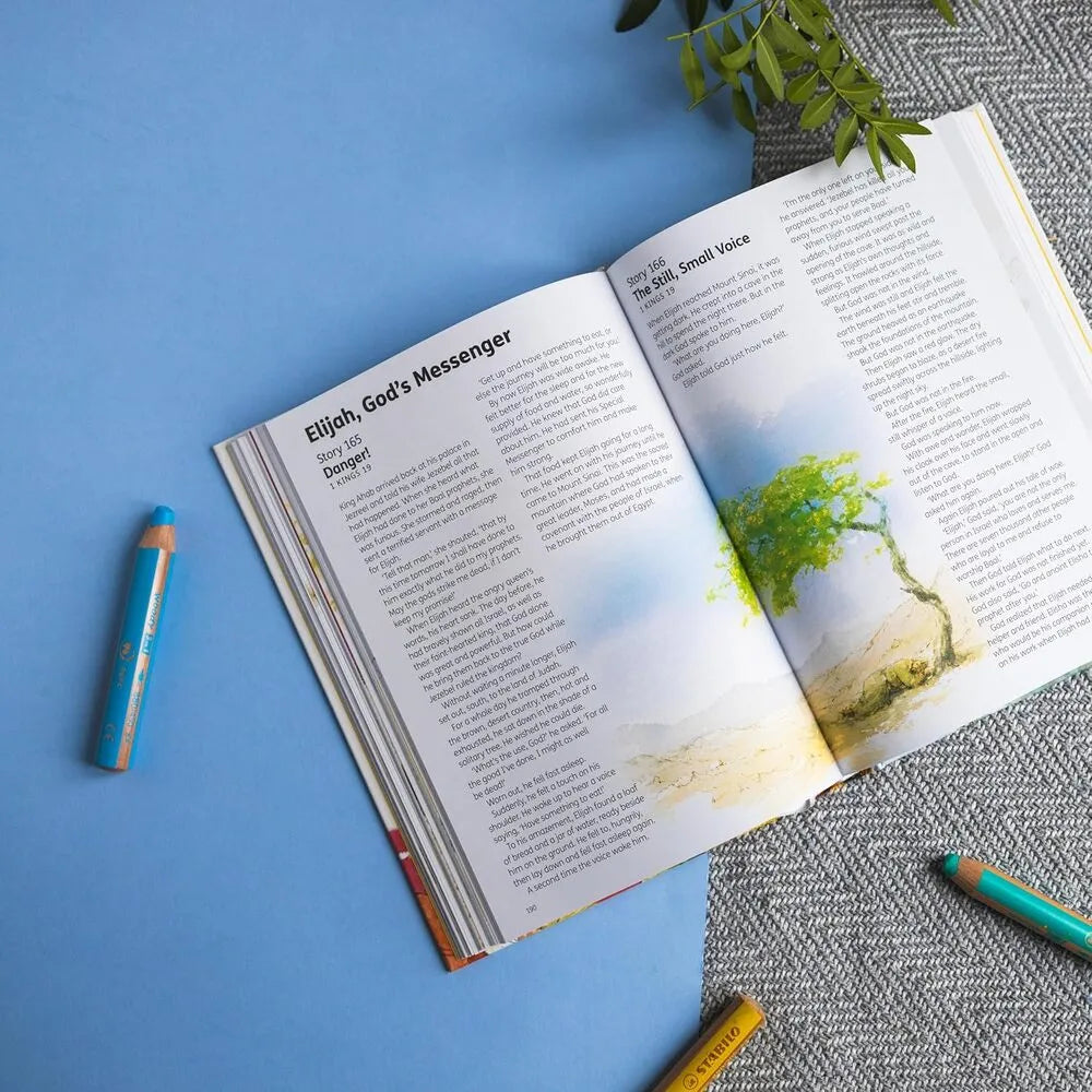 The Children's Bible In 365 Stories Book (Hardcover)