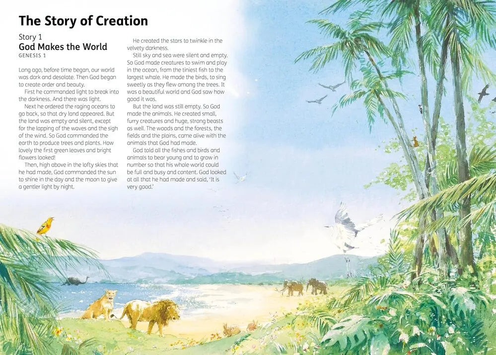 The Children's Bible In 365 Stories Book (Hardcover)