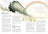 The Children's Bible In 365 Stories Book (Paperback)