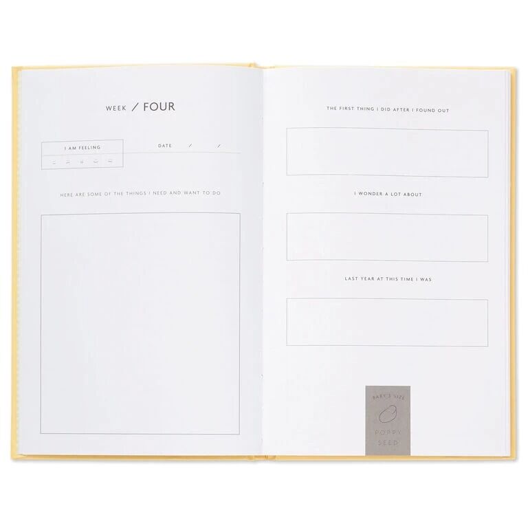 Hallmark Gifts - While I Was Waiting For You Pregnancy Prompt Journal