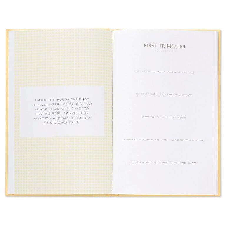 Hallmark Gifts - While I Was Waiting For You Pregnancy Prompt Journal