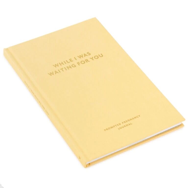 Hallmark Gifts - While I Was Waiting For You Pregnancy Prompt Journal