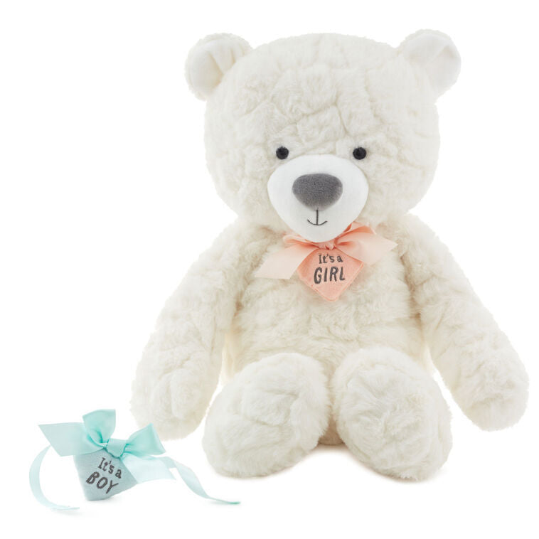 Hallmark Gifts - Gender Reveal Teddy Bear Plush with Ribbons
