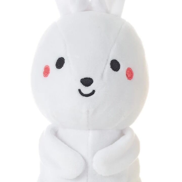 Hallmark Better Together Magnetic Plush - Bunny and Carrot