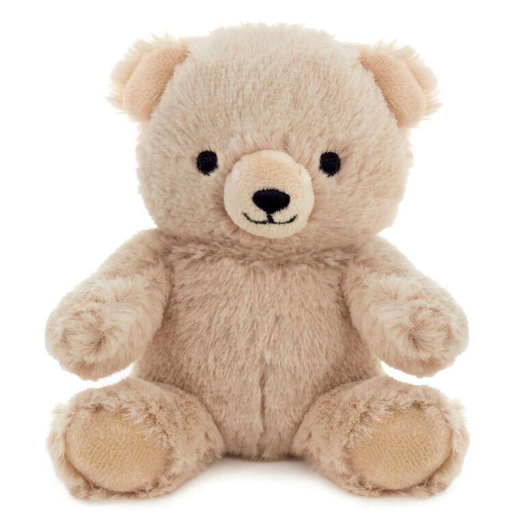 Hallmark Gifts - Bear Plush Gift Card Holder