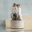 Willow Tree Musical Figurine - Around You