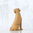 Willow Tree - Love My Dog (Light)