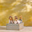Willow Tree - Friends Forever Keepsake Box