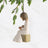 Willow Tree Hanging Ornament - 2026