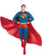 Hallmark Resin Hanging Ornament - DC Superman
