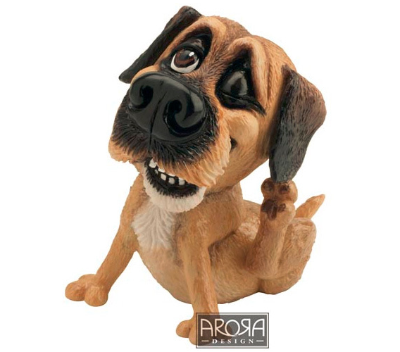 Pets With Personality - Little Paws - Bob Boarder Terrier