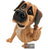 Pets With Personality - Little Paws - Bob Boarder Terrier