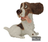 Pets With Personality - Little Paws - Holly Spaniel