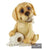Pets With Personality - Little Paws - Honey Labrador Yellow
