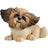 Pets With Personality - Little Paws - Gizmo Shih Tzu