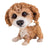 Pets With Personality - Little Paws - Molly Cavachon