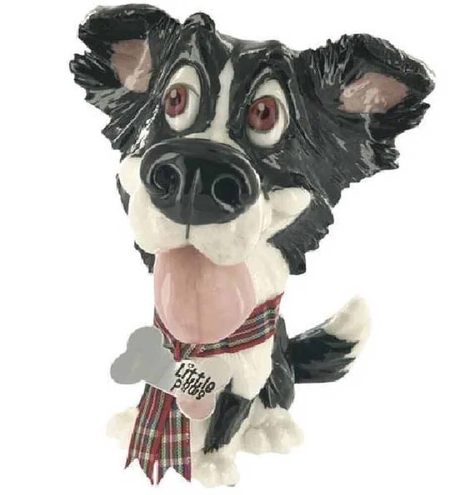 Pets With Personality - Little Paws - Gyp Border Collie