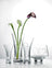 Royal Doulton Promises - Two Hearts Entwined 25cm Vase