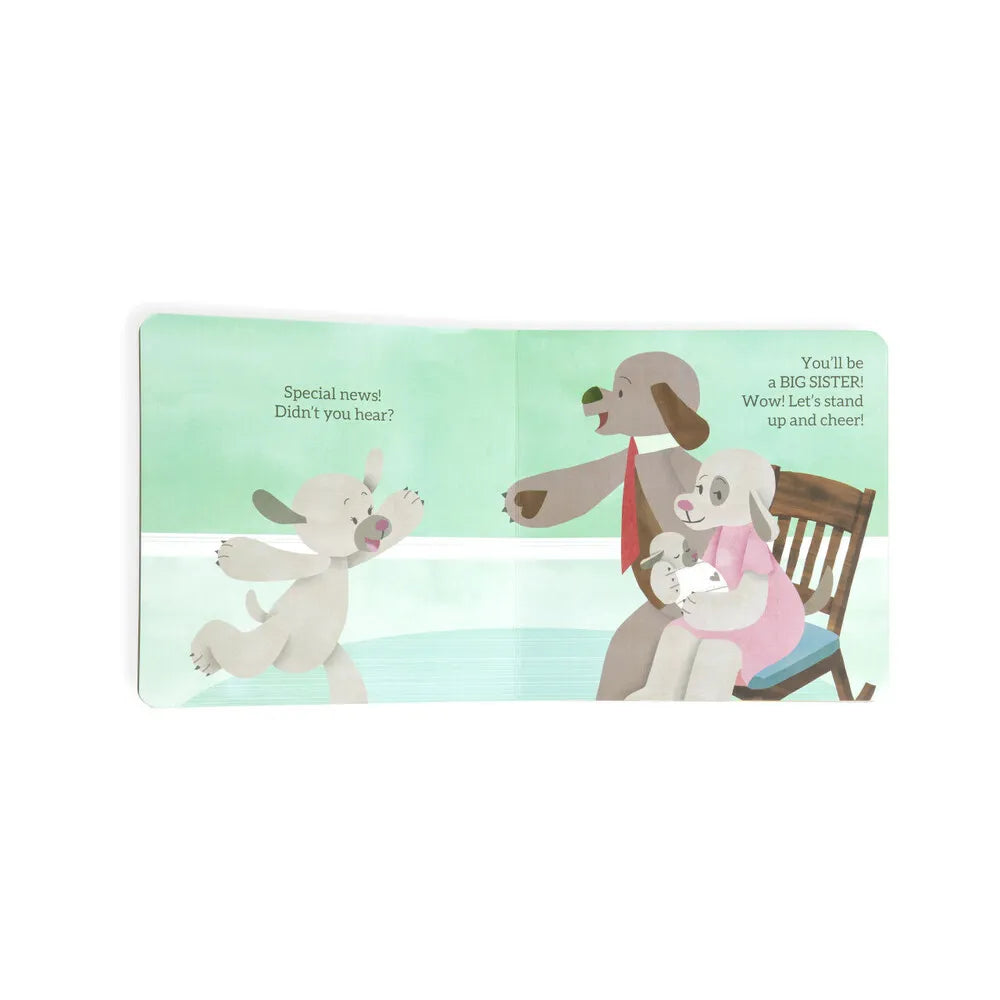 Demdaco Baby - You're Going To Be a Big Sister Book