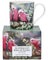 Ashdene Australian Bird & Flora - Galah & Eucalyptus City Mug