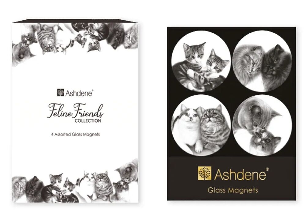Ashdene Feline Friends - Assorted Magnet 4 Pack