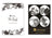 Ashdene Feline Friends - Assorted Magnet 4 Pack