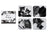 Ashdene Feline Friends - Assorted Coaster 4 Pack