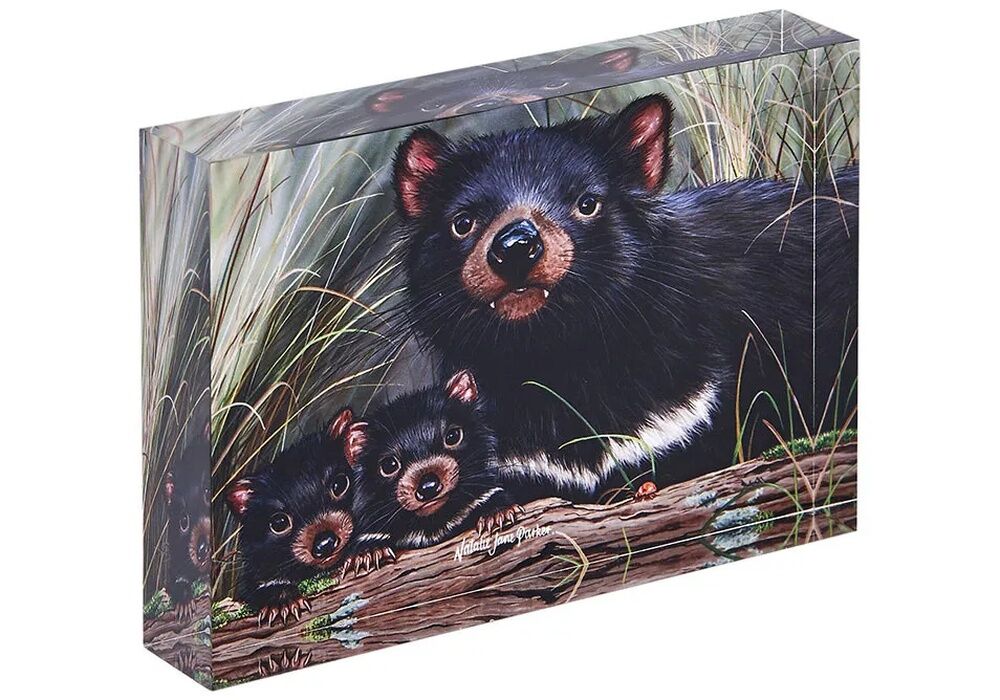 Ashdene Fauna of Australia - Tasmanian Devils Mini Gallery