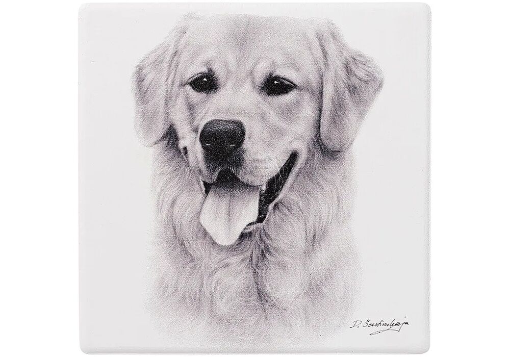 Ashdene Delightful Dogs - Golden Retriever Ceramic Coaster