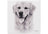 Ashdene Delightful Dogs - Golden Retriever Ceramic Coaster