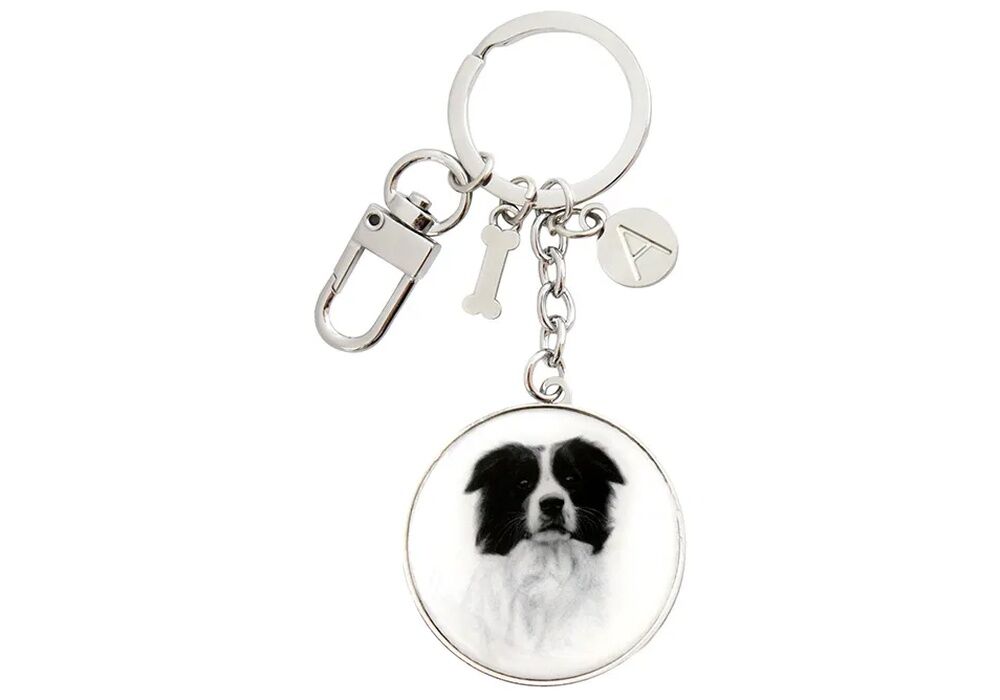 Ashdene Delightful Dogs - Border Collie Keyring