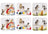 Ashdene Kitten Adventures - Coaster 6 Pack