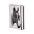 Ashdene Horse Trio - Chestnut Hardcover A6 Notebook