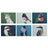 Ashdene Modern Birds - Assorted Placemats (Pack of 6)