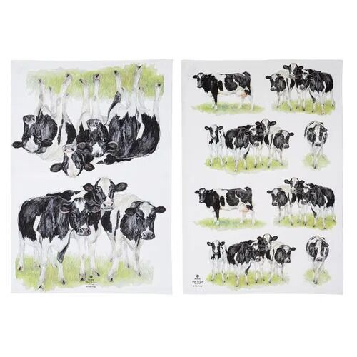 Ashdene Meet The Girls - Kitchen Towels (Pack of 2)