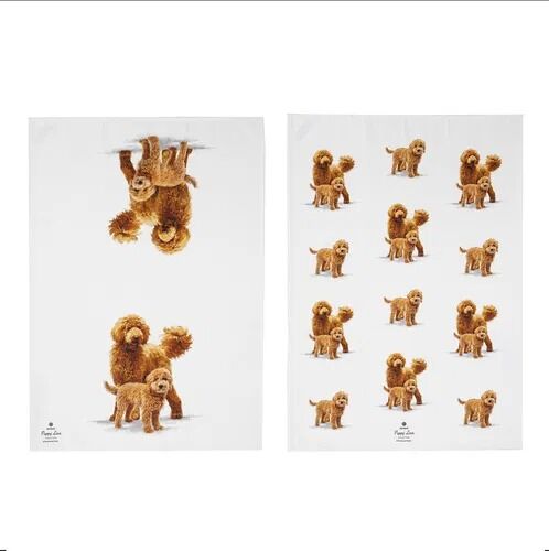 Ashdene Puppy Love Kitchen Towel - Groodle