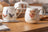 Ashdene Paddock Pals - Chicken Queens Mug