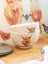 Ashdene Paddock Pals - Bowls - Pack of 4