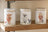 Ashdene Paddock Pals - Canisters - Pack of 3