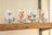 Ashdene Paddock Pals - Crystal Tumblers - Pack of 4