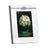 Wedgwood Vera Wang Infinity Photo Frame 8x10inch
