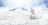 Disney Showcase Facet - Olaf