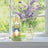 Beatrix Potter by Jim Shore - Peter Rabbit With Daffodils